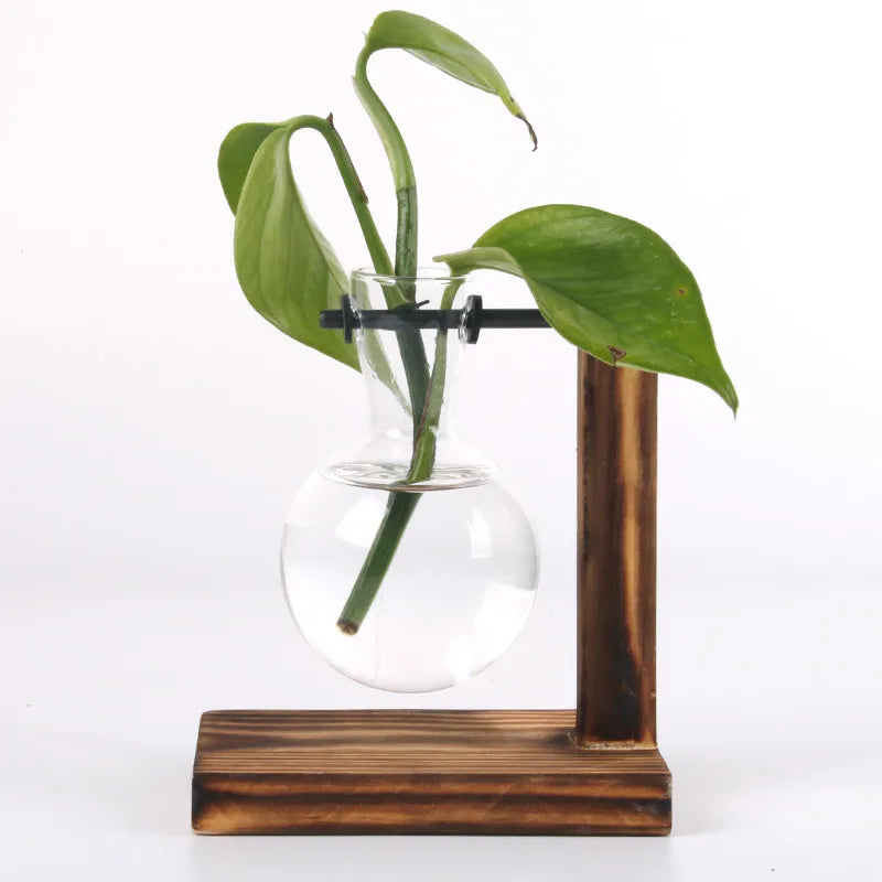 The Hanging Seedling