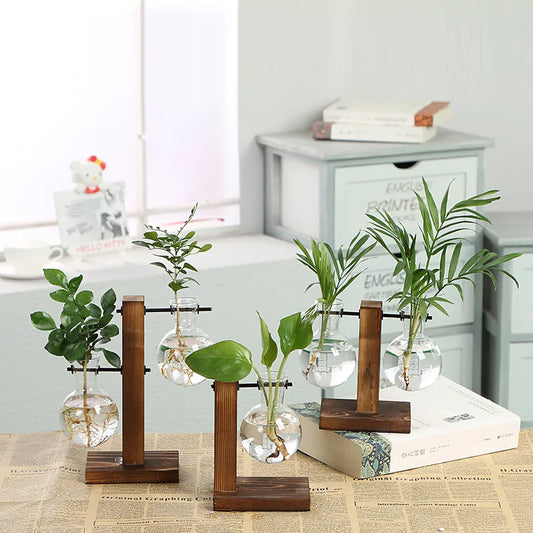 The Hanging Seedling